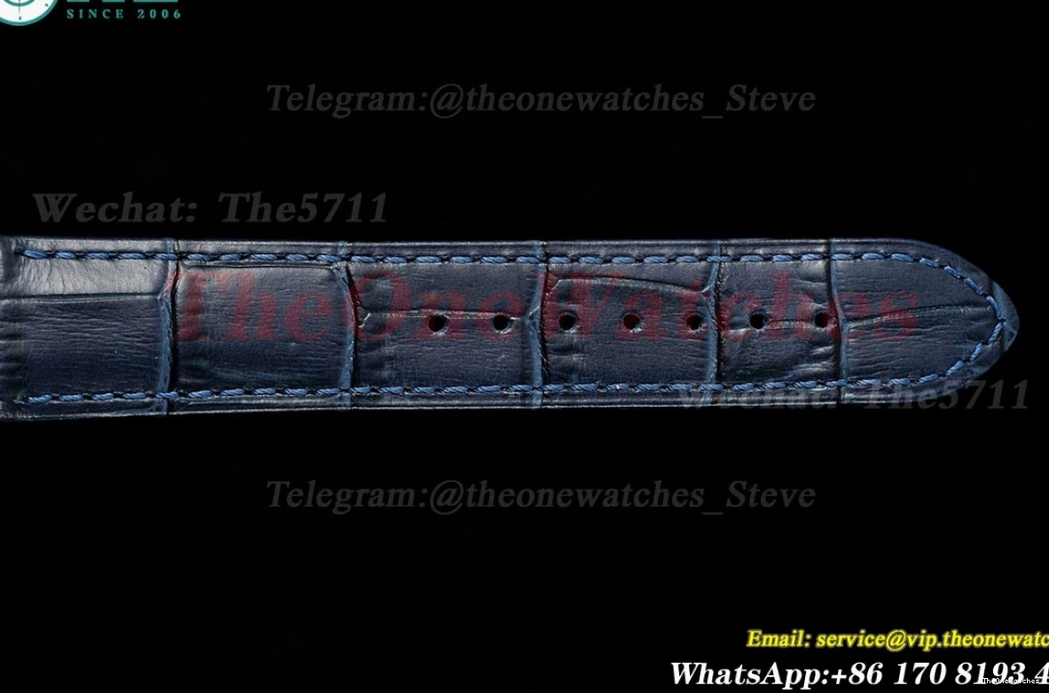 Dial Santos Quartz AF Blue LE Silver RG Dumont 0301